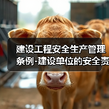 建设工程安全生产管理条例-建设单位的安全责任（图1）