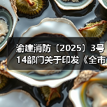 渝建消防〔2025〕3号 14部门关于印发《全市建设工程消防设计审查验收违法违规专项治理工作方案》的通知(图3) 渝建消防〔2025〕3号 14部门关于印发《全市建设工程消防设计审查验收违法违规专项治理工作方案》的通知(图3)