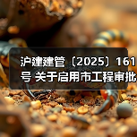 沪建建管〔2025〕161号 关于启用市工程审批系统信息填报客户端软件(v1.0)的通知(图3) 沪建建管〔2025〕161号 关于启用市工程审批系统信息填报客户端软件(v1.0)的通知(图3)