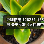 沪建标定〔2025〕135号 关于批准《人民防空工程安全风险评估技术标准》为上海市工程建设规范的通知(图2) 沪建标定〔2025〕135号 关于批准《人民防空工程安全风险评估技术标准》为上海市工程建设规范的通知(图2)