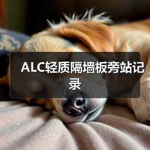 ALC轻质隔墙板旁站记录(图3) ALC轻质隔墙板旁站记录(图3)