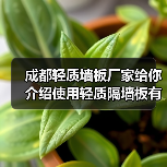 成都轻质墙板厂家给你介绍使用轻质隔墙板有哪些优势(图3) 成都轻质墙板厂家给你介绍使用轻质隔墙板有哪些优势(图3)