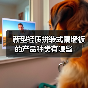 新型轻质拼装式隔墙板的产品种类有哪些(图4) 新型轻质拼装式隔墙板的产品种类有哪些(图4)