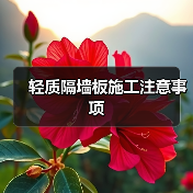 轻质隔墙板施工注意事项(图3) 轻质隔墙板施工注意事项(图3)