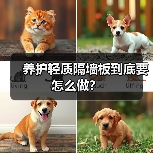 养护轻质隔墙板到底要怎么做?(图2) 养护轻质隔墙板到底要怎么做?(图2)