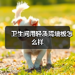 卫生间用轻质隔墙板怎么样(图2) 卫生间用轻质隔墙板怎么样(图2)