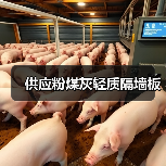 供应粉煤灰轻质隔墙板（图3）