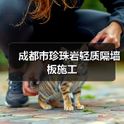 成都市珍珠岩轻质隔墙板施工（图1）