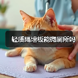 轻质隔墙板能砌厕所吗（图1）