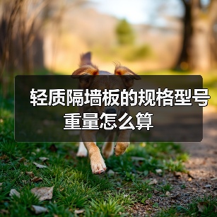 轻质隔墙板的规格型号重量怎么算（图3）