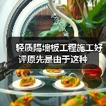 轻质隔墙板工程施工好评原先是由于这种（图1）