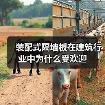 装配式隔墙板在建筑行业中为什么受欢迎(图4) 装配式隔墙板在建筑行业中为什么受欢迎(图4)