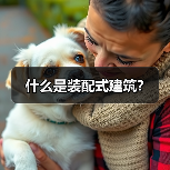 什么是装配式建筑？（图1）