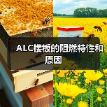 ALC楼板的阻燃特性和原因(图3) ALC楼板的阻燃特性和原因(图3)