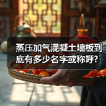 蒸压加气混凝土墙板到底有多少名字或称呼?(图2) 蒸压加气混凝土墙板到底有多少名字或称呼?(图2)