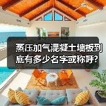 蒸压加气混凝土墙板到底有多少名字或称呼?(图4) 蒸压加气混凝土墙板到底有多少名字或称呼?(图4)