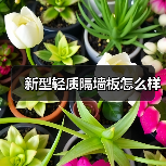 新型轻质隔墙板怎么样(图2) 新型轻质隔墙板怎么样(图2)