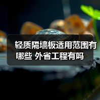 轻质隔墙板适用范围有哪些 外省工程有吗(图2) 轻质隔墙板适用范围有哪些 外省工程有吗(图2)