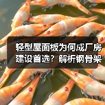 轻型屋面板为何成厂房建设首选？解析钢骨架优势（图2）