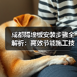 成都隔墙板安装步骤全解析：高效节能施工技巧（图2）