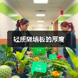 轻质隔墙板的厚度(图4) 轻质隔墙板的厚度(图4)