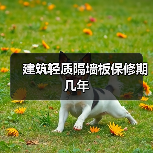 建筑轻质隔墙板保修期几年（图4）