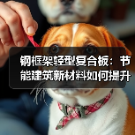 钢框架轻型复合板:节能建筑新材料如何提升效率?(图4) 钢框架轻型复合板:节能建筑新材料如何提升效率?(图4)